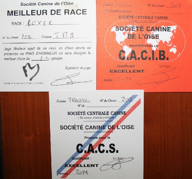 De L'Ile Chauvet - Meilleur de Race / C.A.C.I.B. / C.A.C.S.